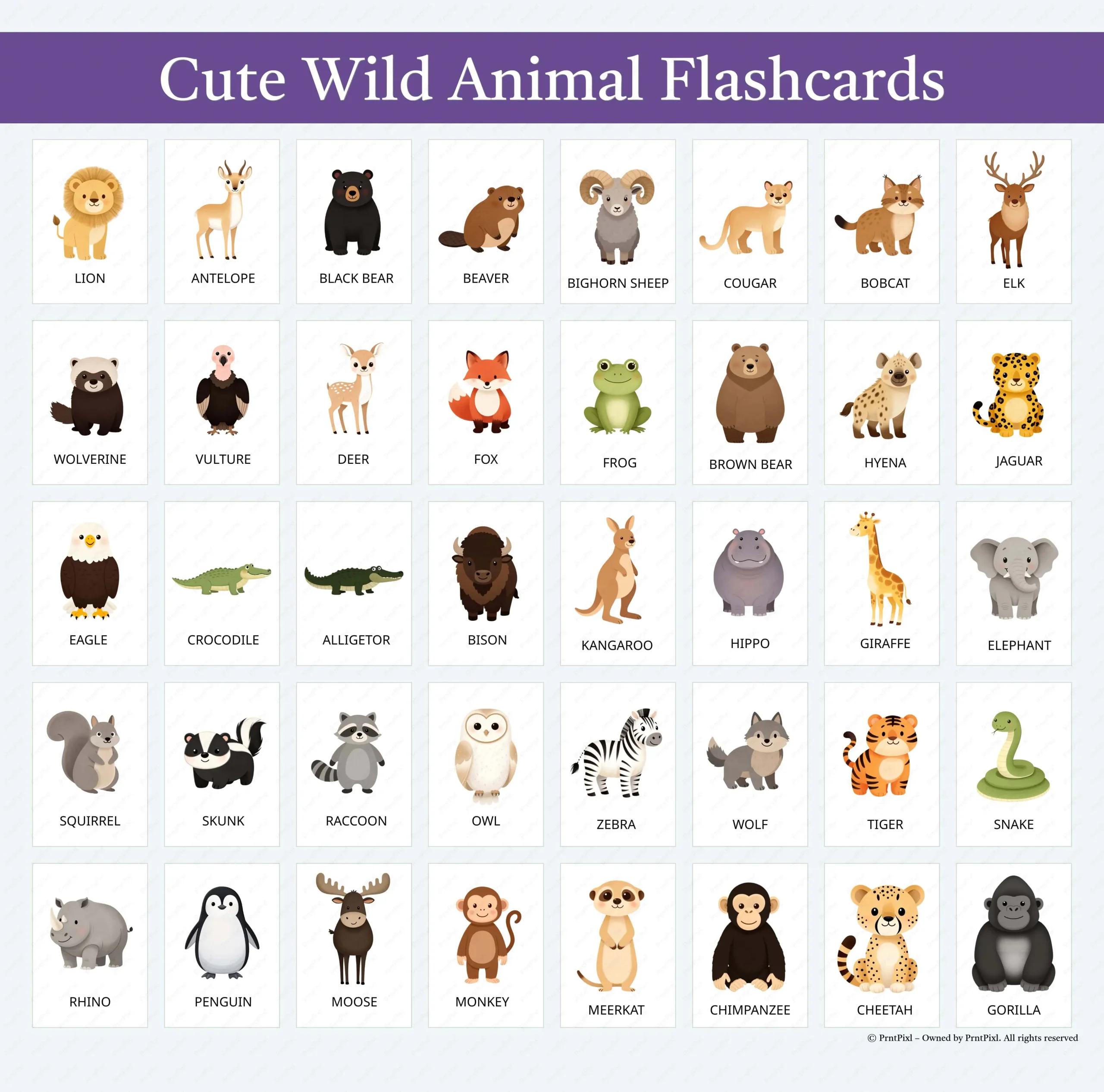 Preschool Animal Vocabulary Flashcards PDF