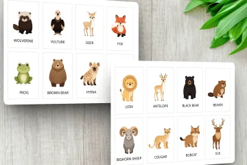 Preschool Wild Animals Flashcards Printable PDF