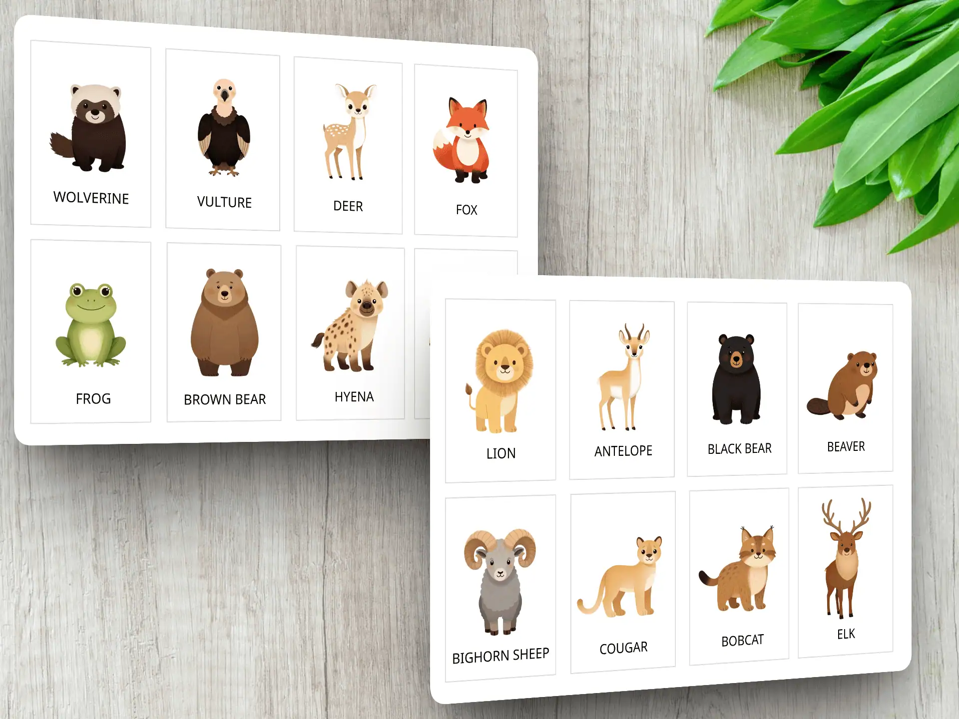 Preschool Wild Animals Flashcards Printable PDF