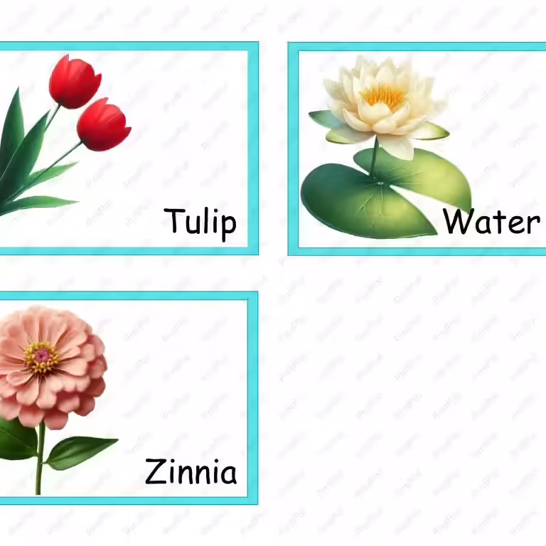 Preschoop-Flowers-Flashcard