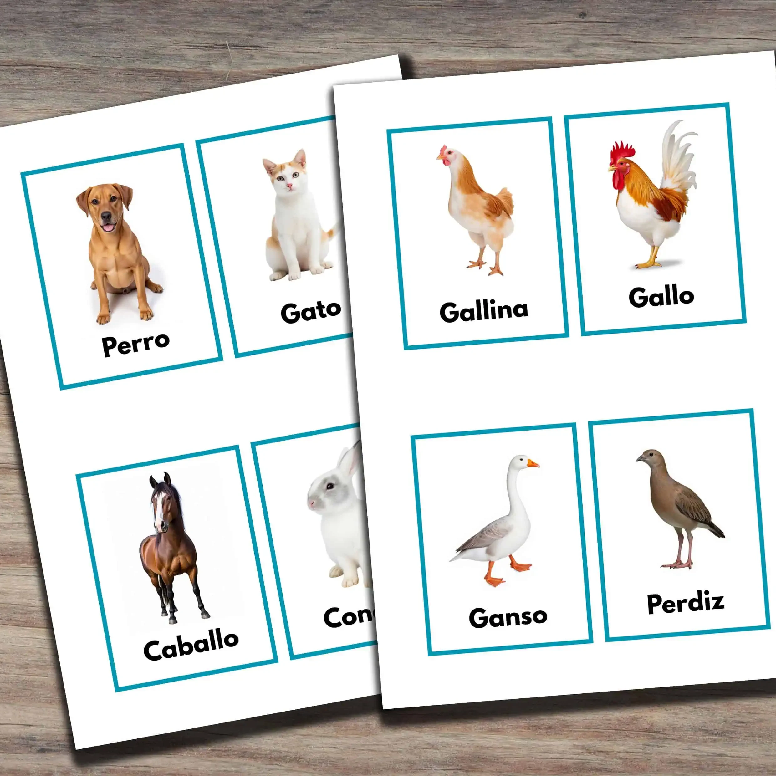 Printable Spanish Animal Flashcards for Kids