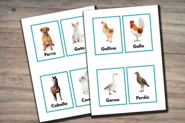 Printable Spanish Animal Flashcards for Kids