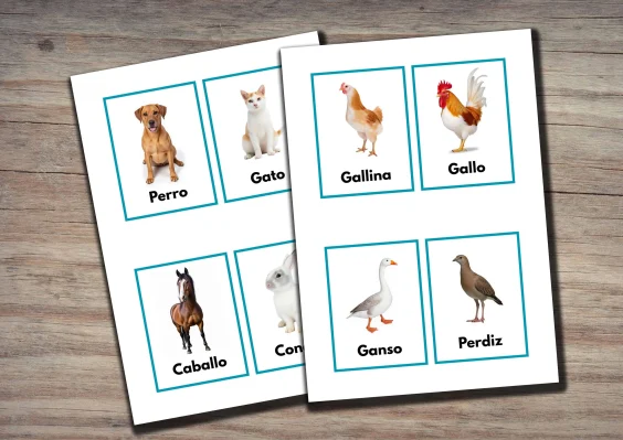 Printable Spanish Animal Flashcards for Kids