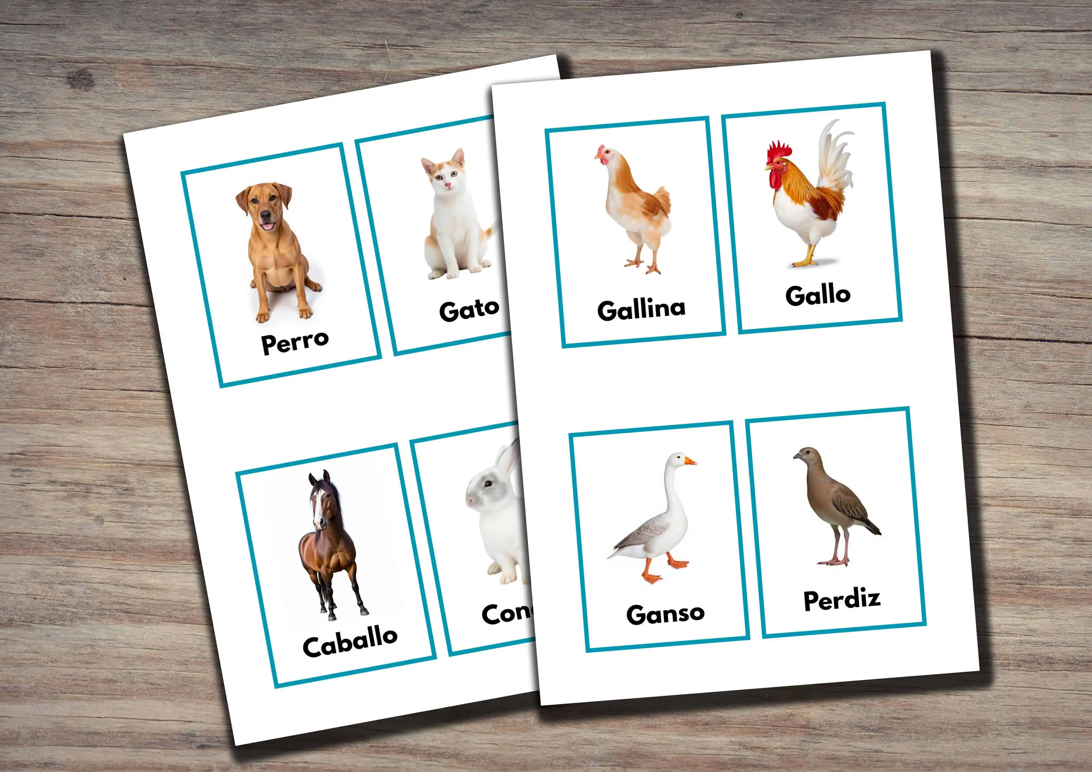Printable Spanish Animal Flashcards for Kids