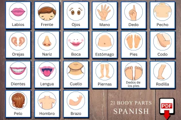 Printable Spanish Human Body Parts Cards for Children A4 Size