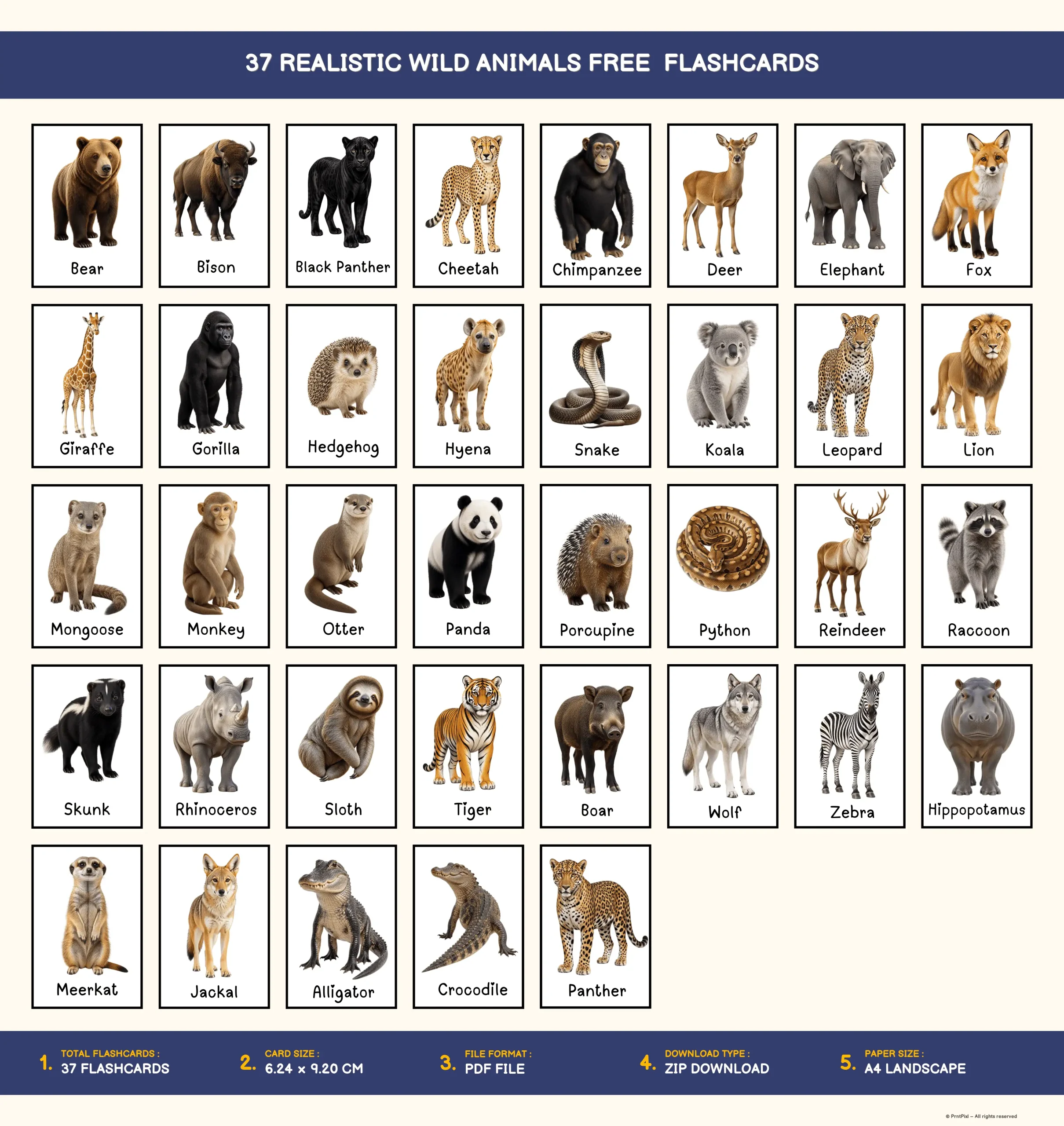 Realistic Wild Animals Flashcards For Kindergarten Kids