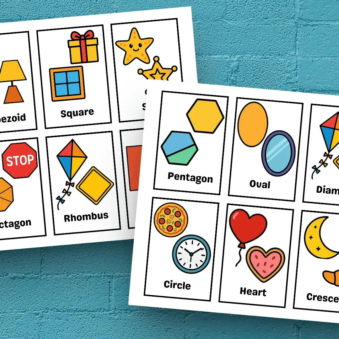 Sahpes Flashcard with real world example