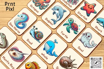Sea Animal Flash Cards
