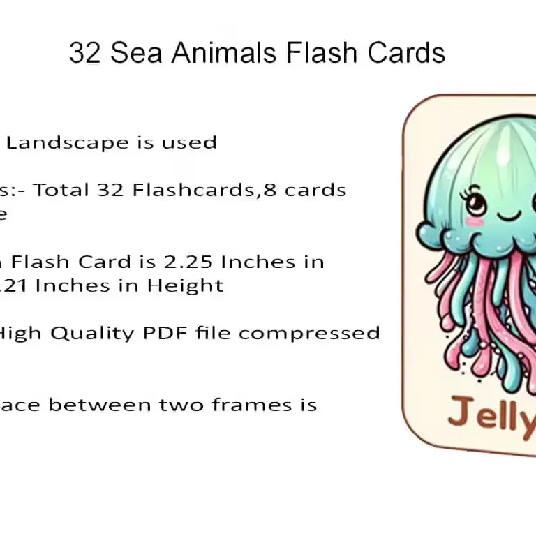 Sea Animals Cards Details