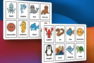Sea Animals Flashcards