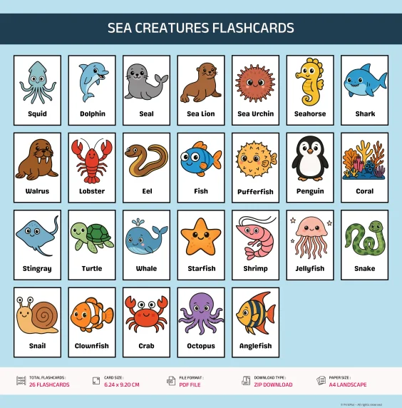 Sea Animals Flashcards For Kids
