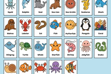 Sea Animals Flashcards For Kids