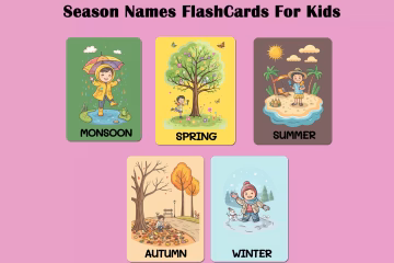 Free Seasons Flashcards For Kindergarten