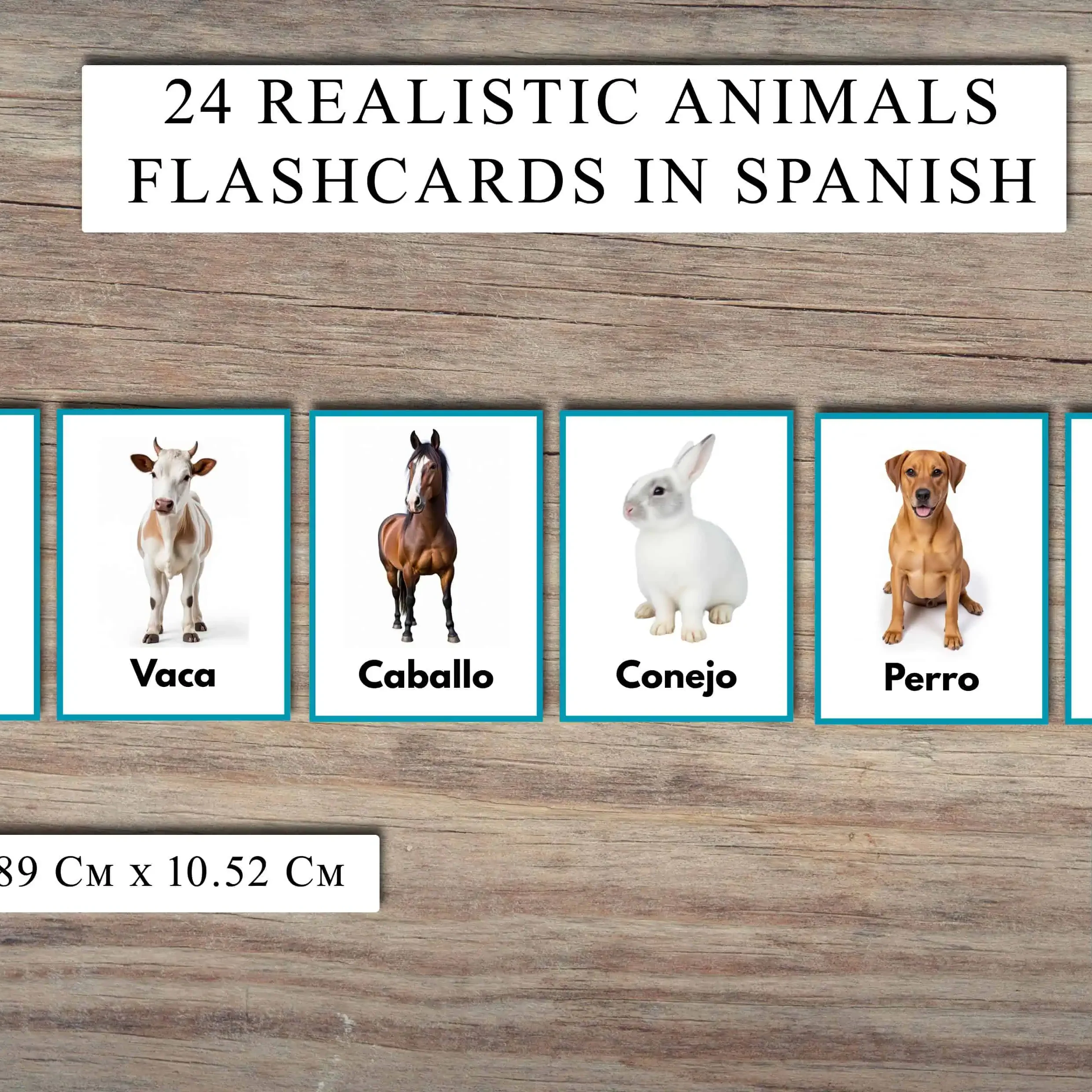 Spanish Realistic Animal Flashcards