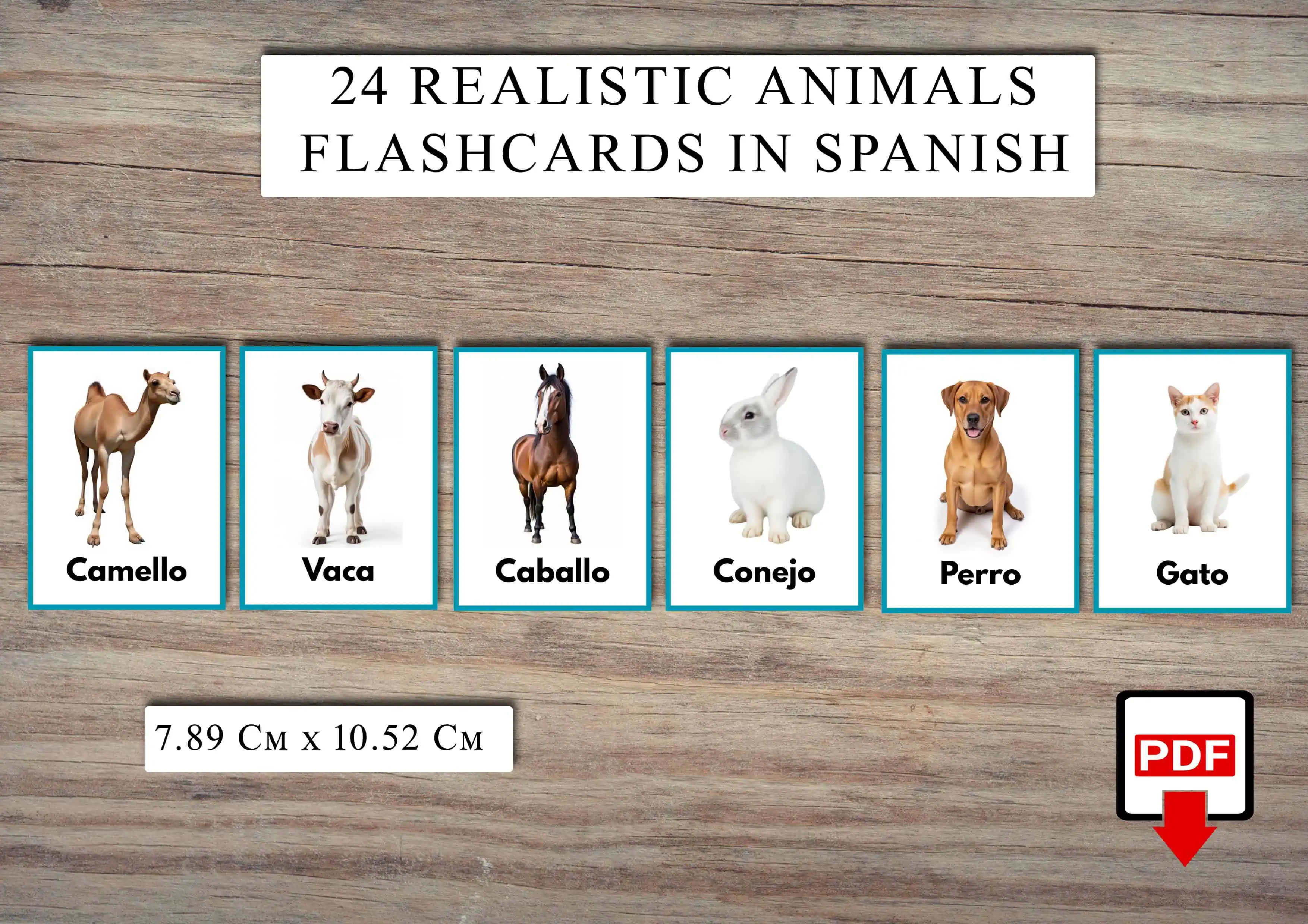 Spanish Realistic Animal Flashcards