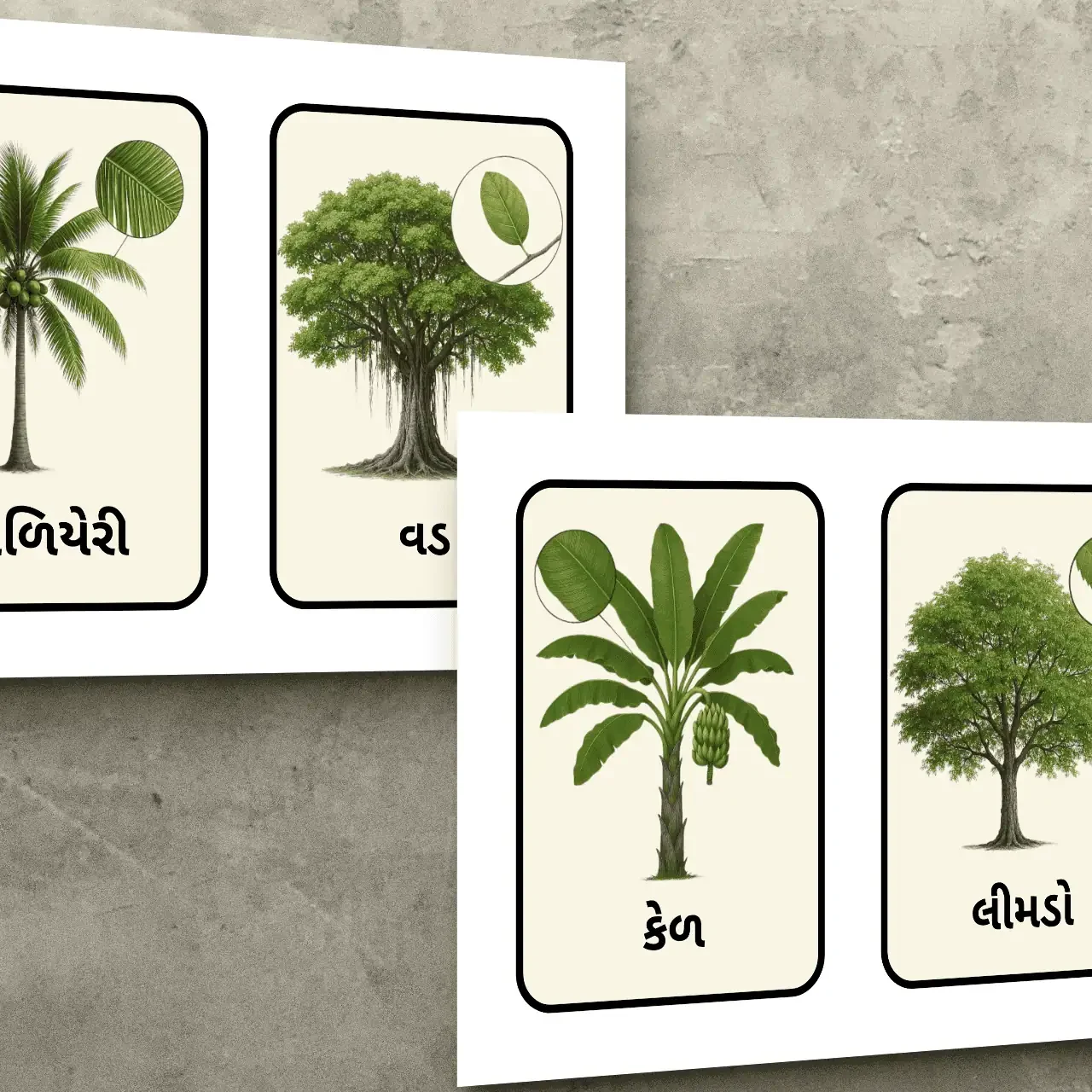 Tree names flashcards in Gujarati