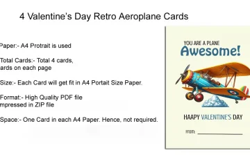 Valentine's Day Retro Aeroplane Cards Details