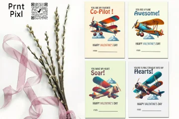 Valentine's Day Retro Aeroplane Cards