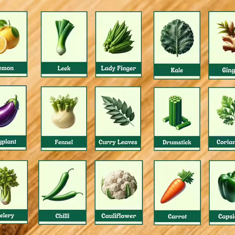 Vegetable Flashcards Printable