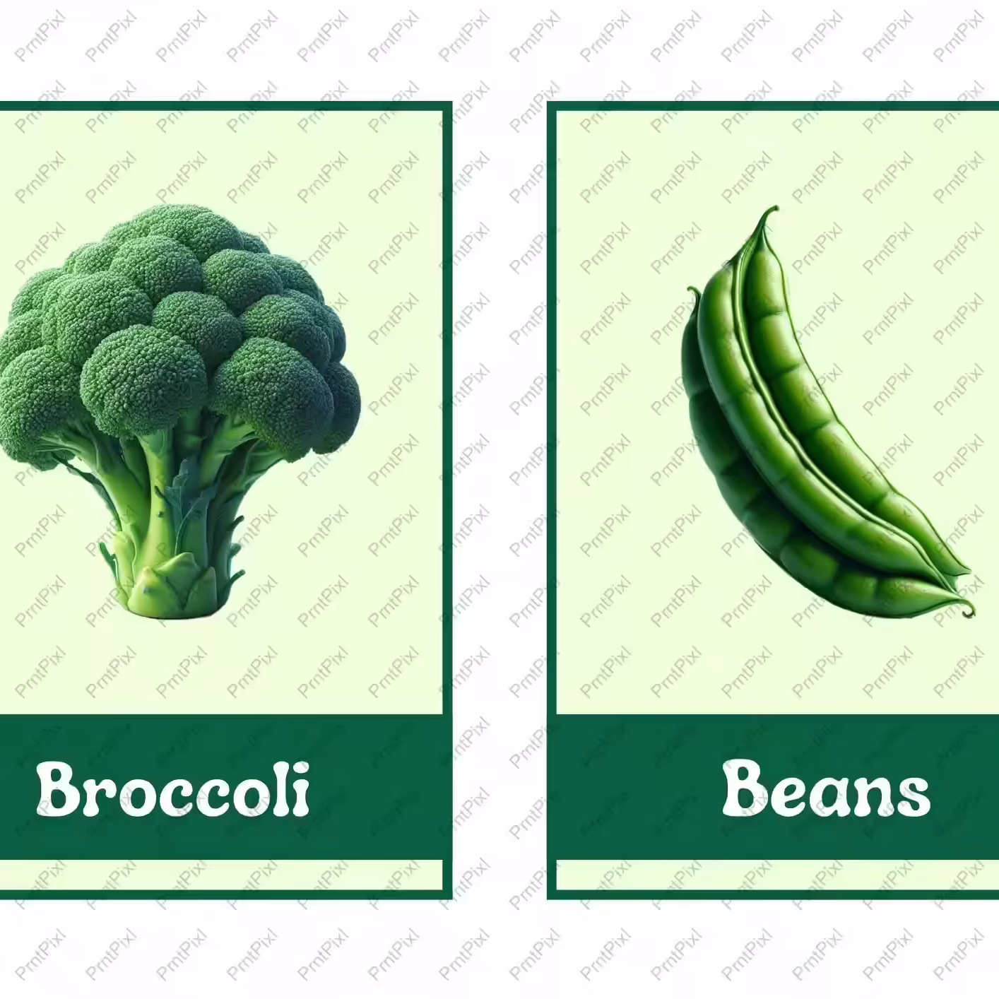 Vegetable Flashcards at PrntPixl