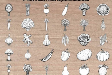 Vegetable Lineart Collection PNG JPG
