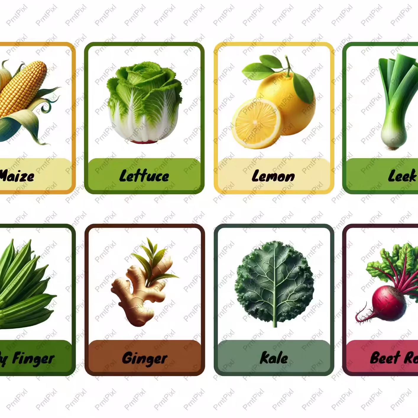 Vegetables Flashcards for Kids