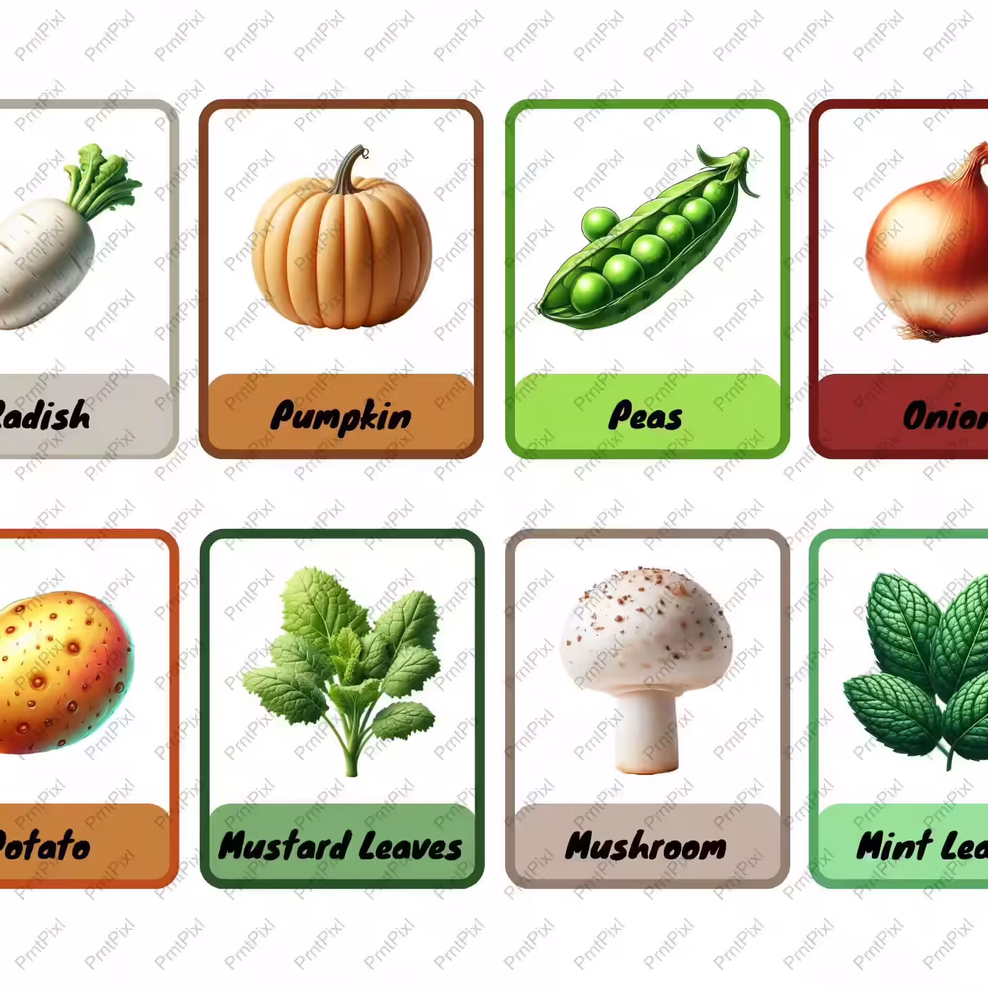 Veggi Flashcards for Kids