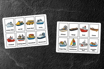 Water Transport Flashcards
