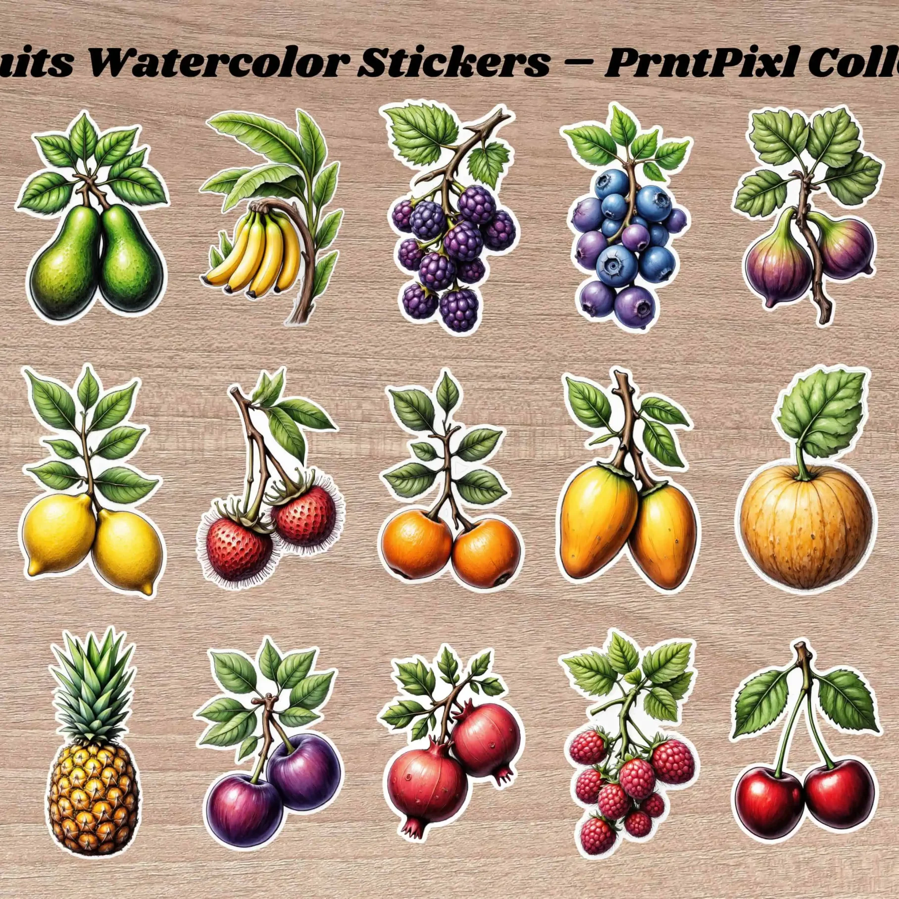 Watercolor Charcoal Fruit Stickers Pack