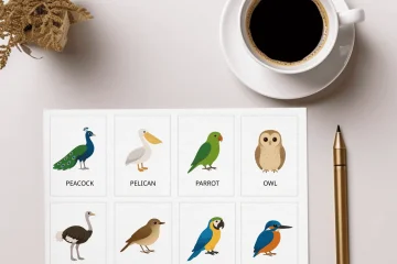 47 Colorful Bird Flashcards for Preschoolers – Early Learning Educational Printable Cards - Image 6