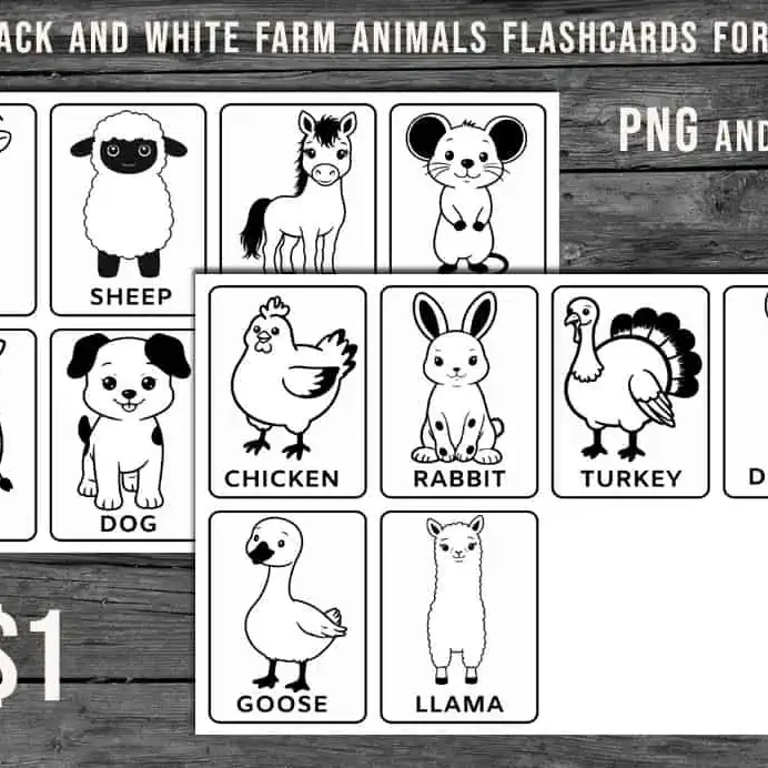 black and white domestic animals printable