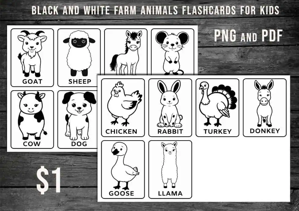 black and white domestic animals printable