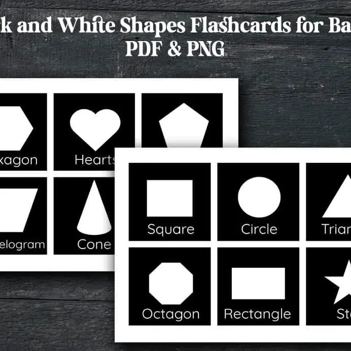 black and white shapes flashcards for babies