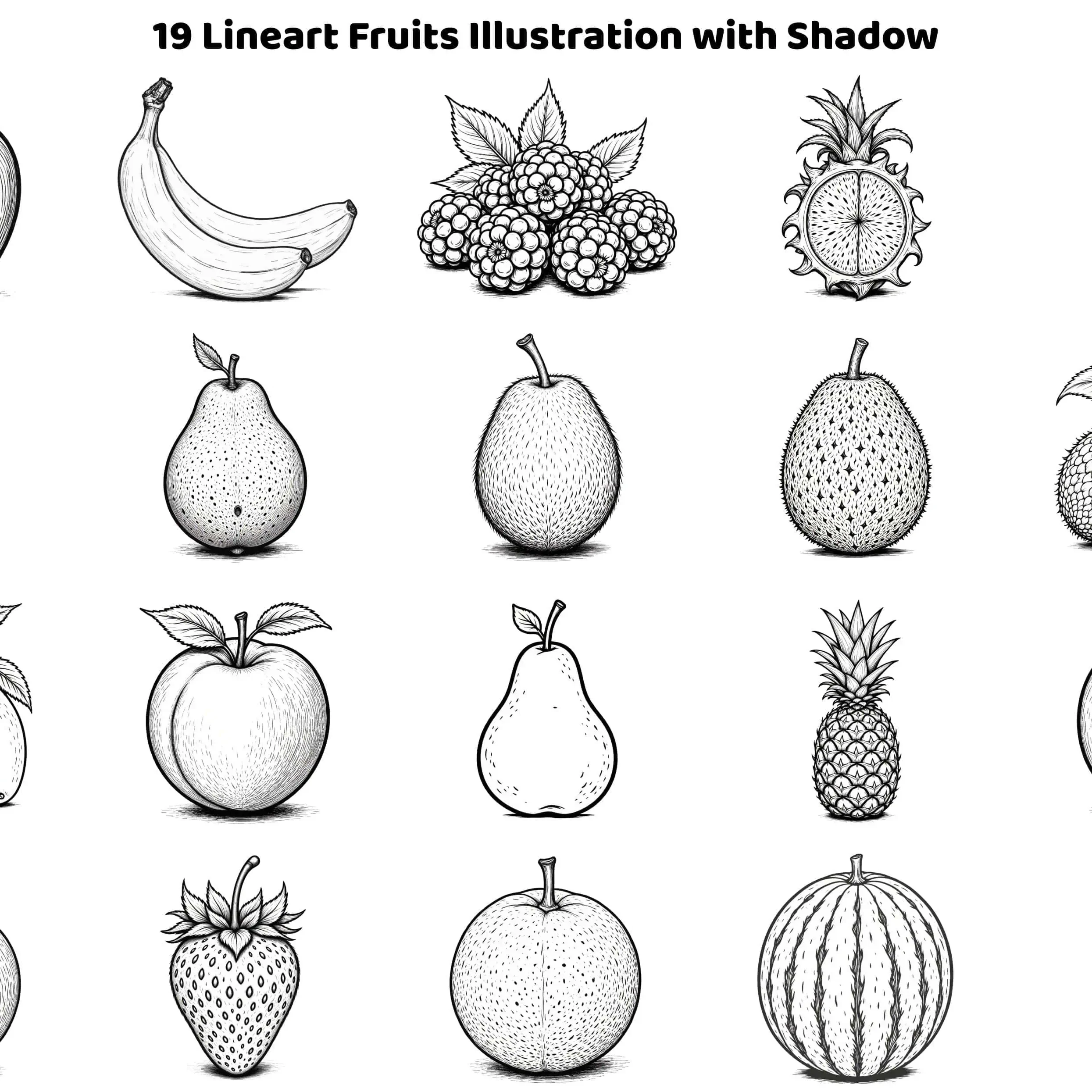 black outline fruit drawings bundle 300dpi
