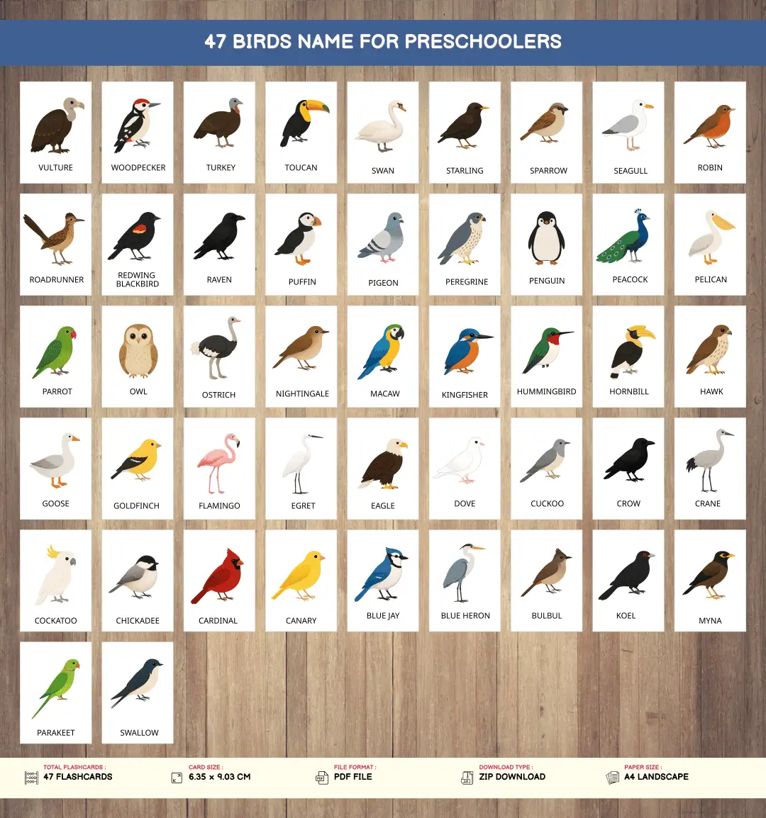 colorful bird flashcards educational printables for kids
