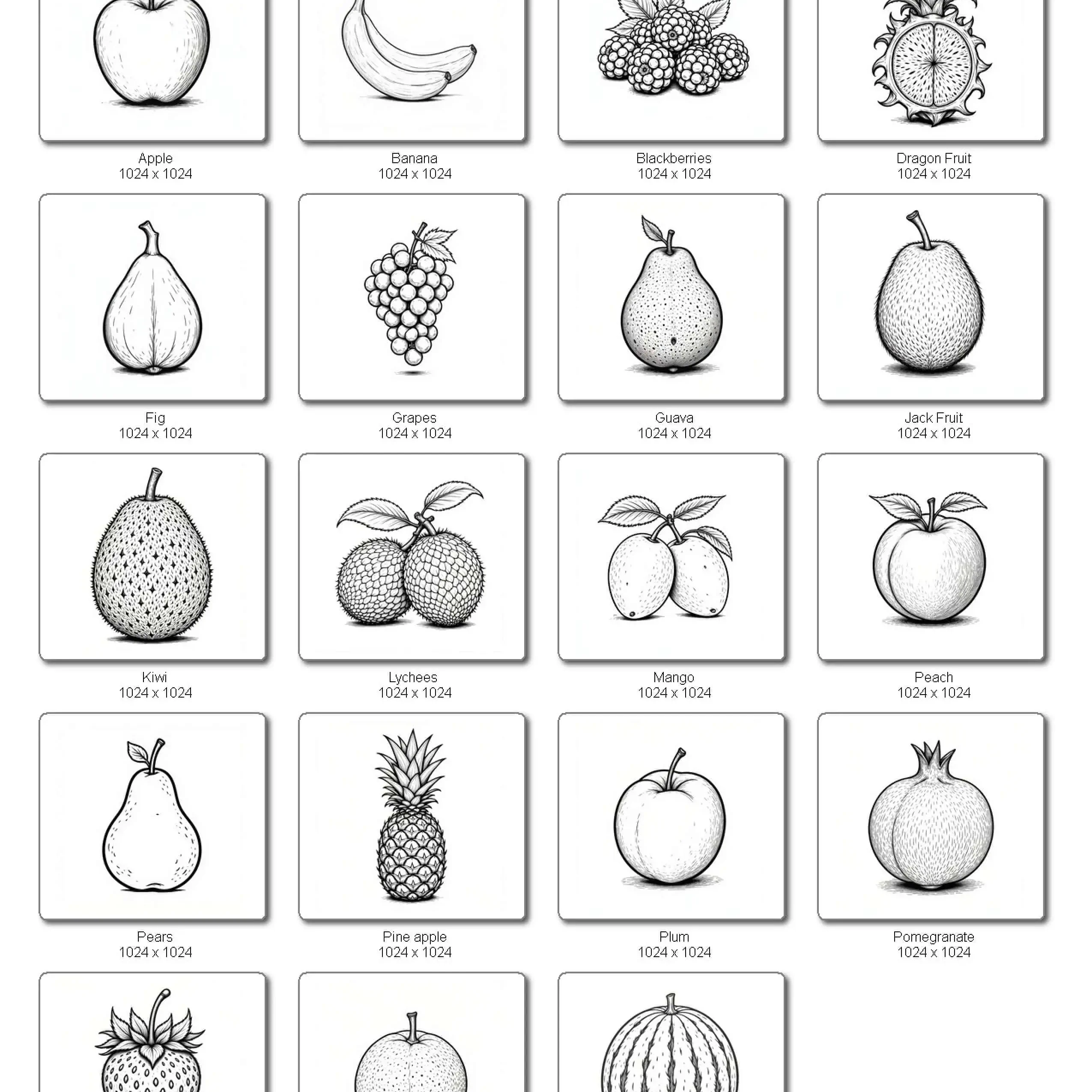 fruit line art illustrations with shadow