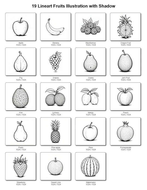 fruit line art illustrations with shadow