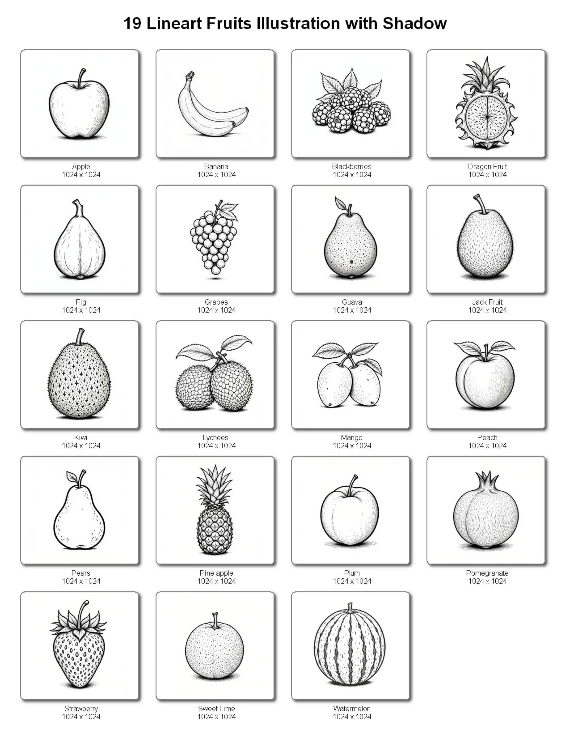 fruit line art illustrations with shadow