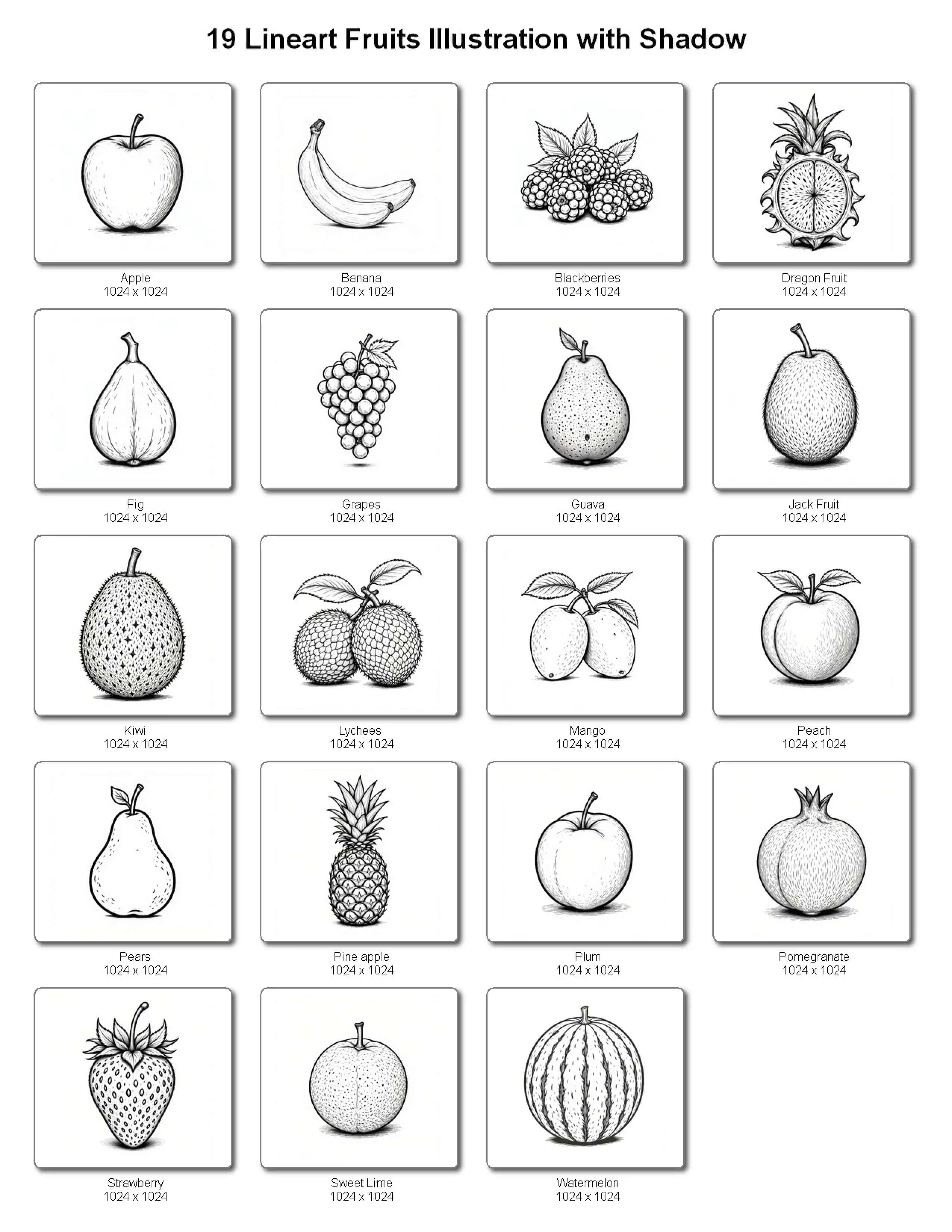 fruit line art illustrations with shadow