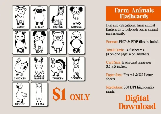 low stimulation animal flashcards for kids