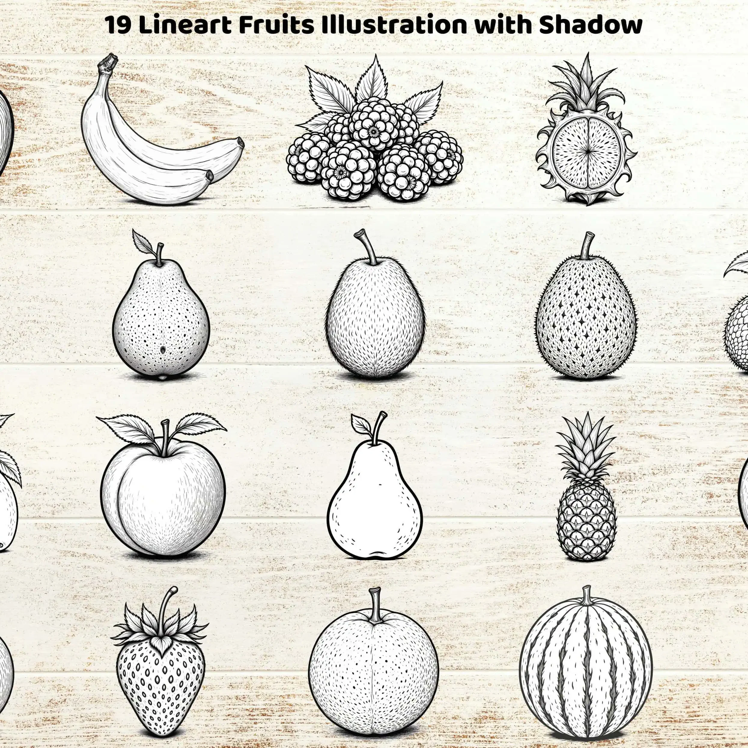 printable fruit sketches png jpg download