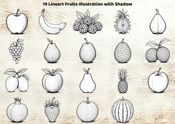 printable fruit sketches png jpg download