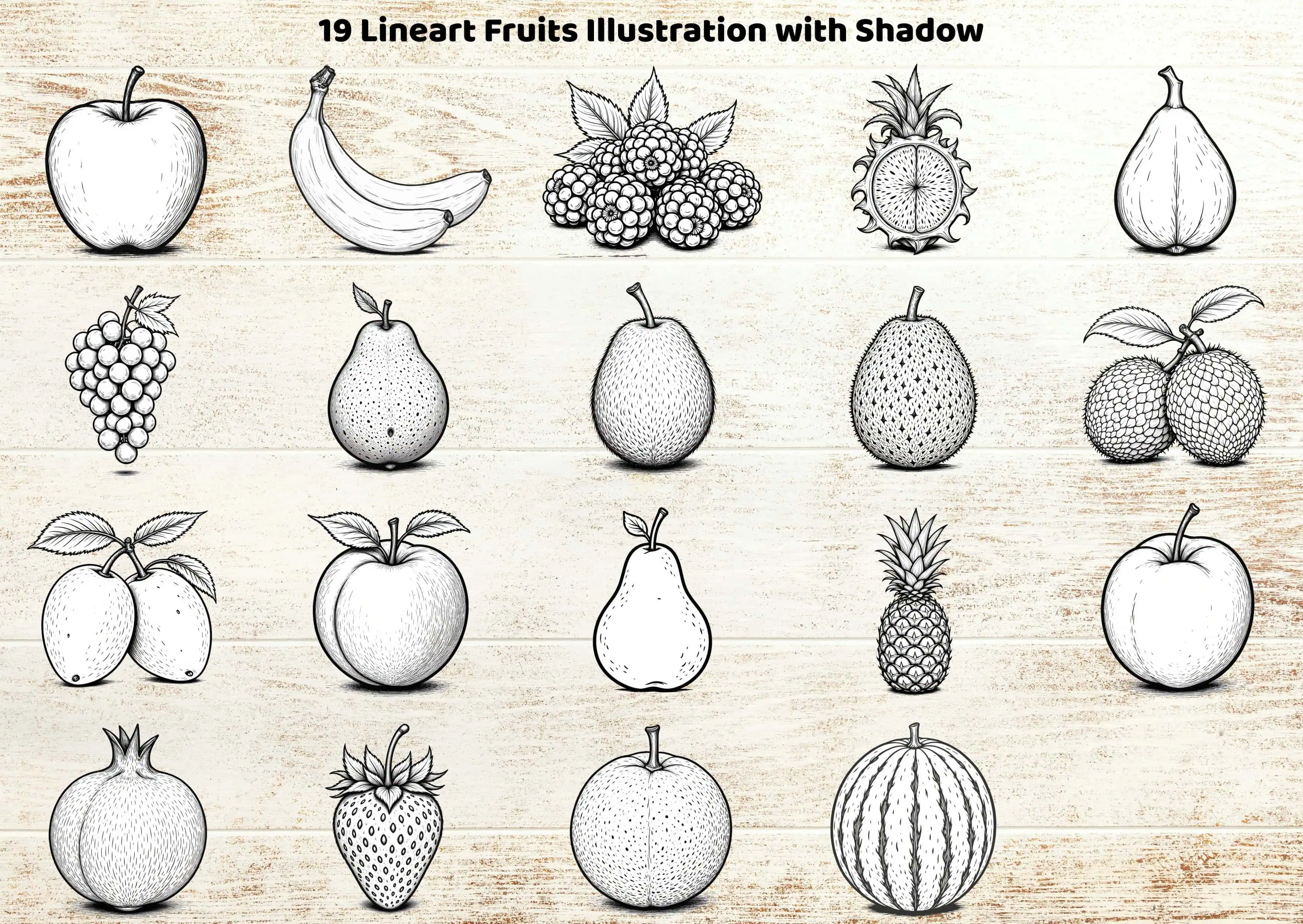 printable fruit sketches png jpg download