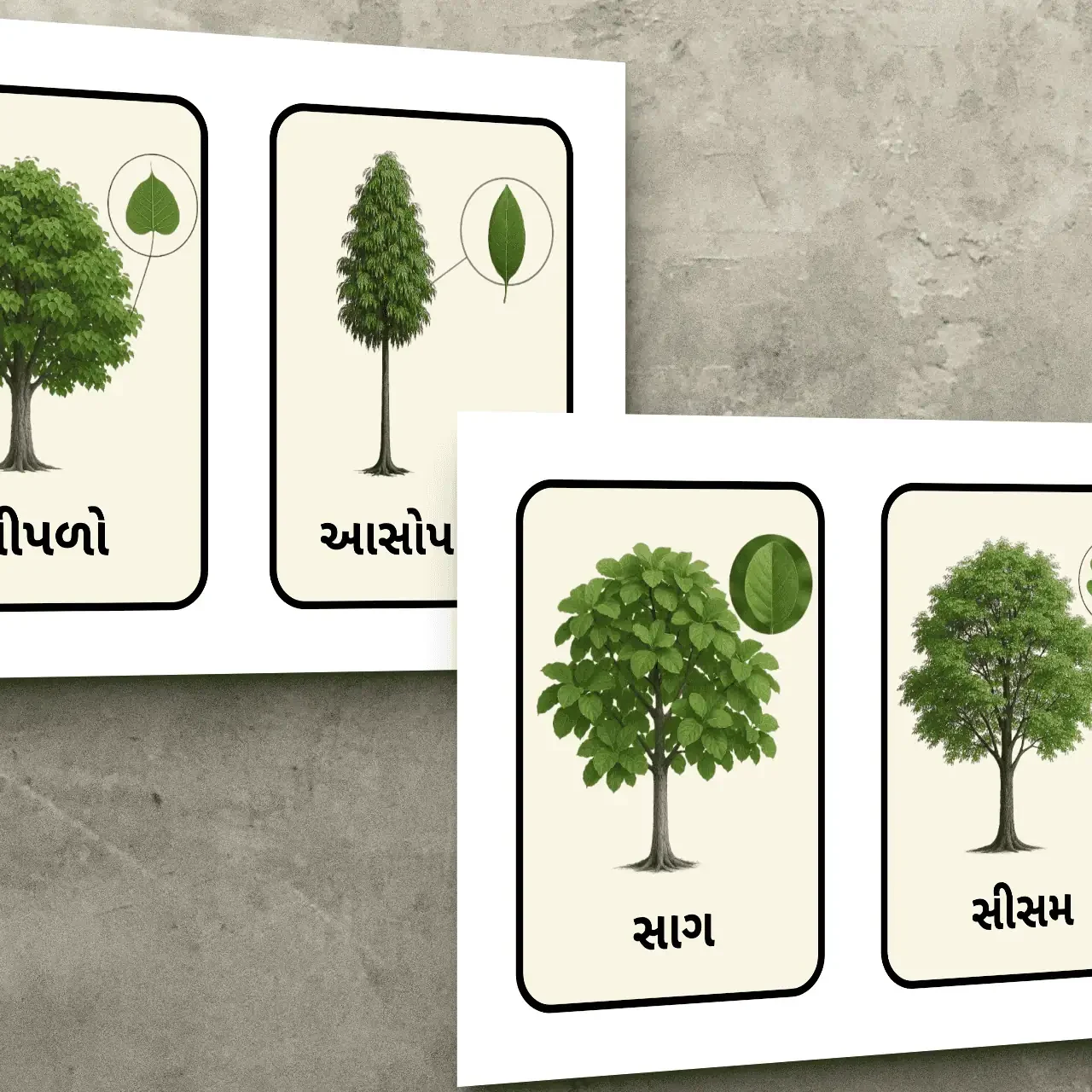 વૃક્ષોના નામ Gujarati Tree Name Flashcards