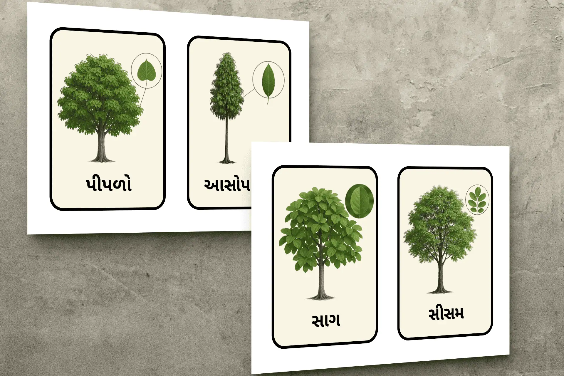 વૃક્ષોના નામ Gujarati Tree Name Flashcards
